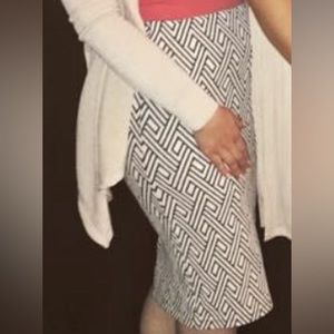 Zara fitted Pencil Skirt
